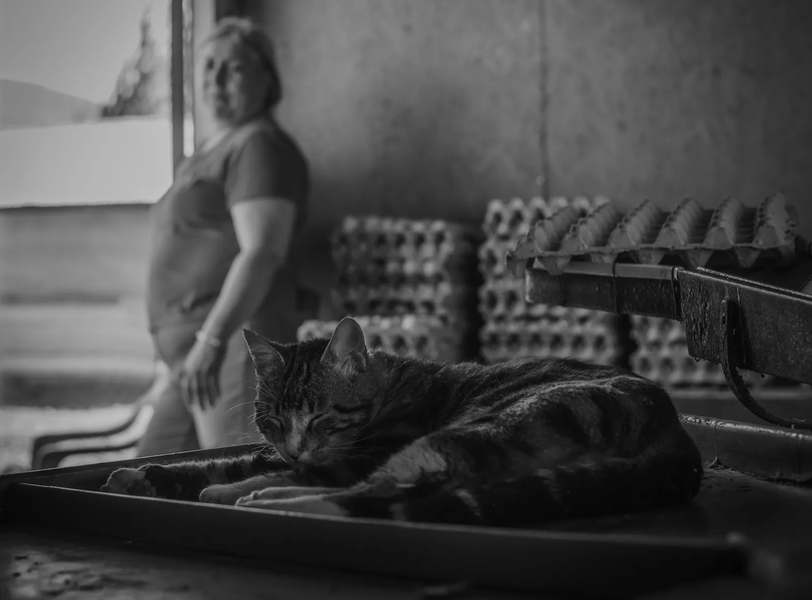 Fotografía en blanco y negro de la serie Mamá Gallina